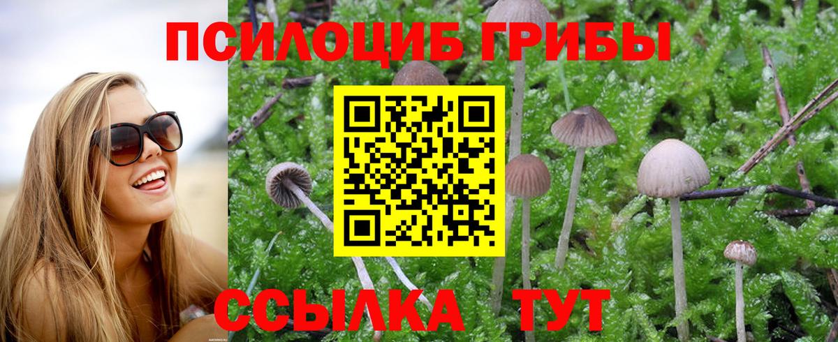 Галлюциногенные грибы Cubensis Скопин